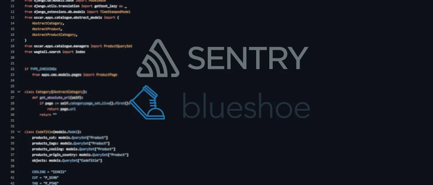 Effektives Fehler-Tracking in Django mit Sentry